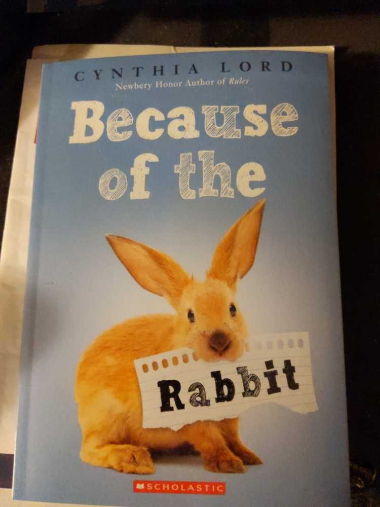 Because Of The Rabbit - Cynthia Lord (- Paperback) book collectible [Barcode 9781338538960] - Main Image 1