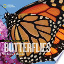 Face to Face with Butterflies