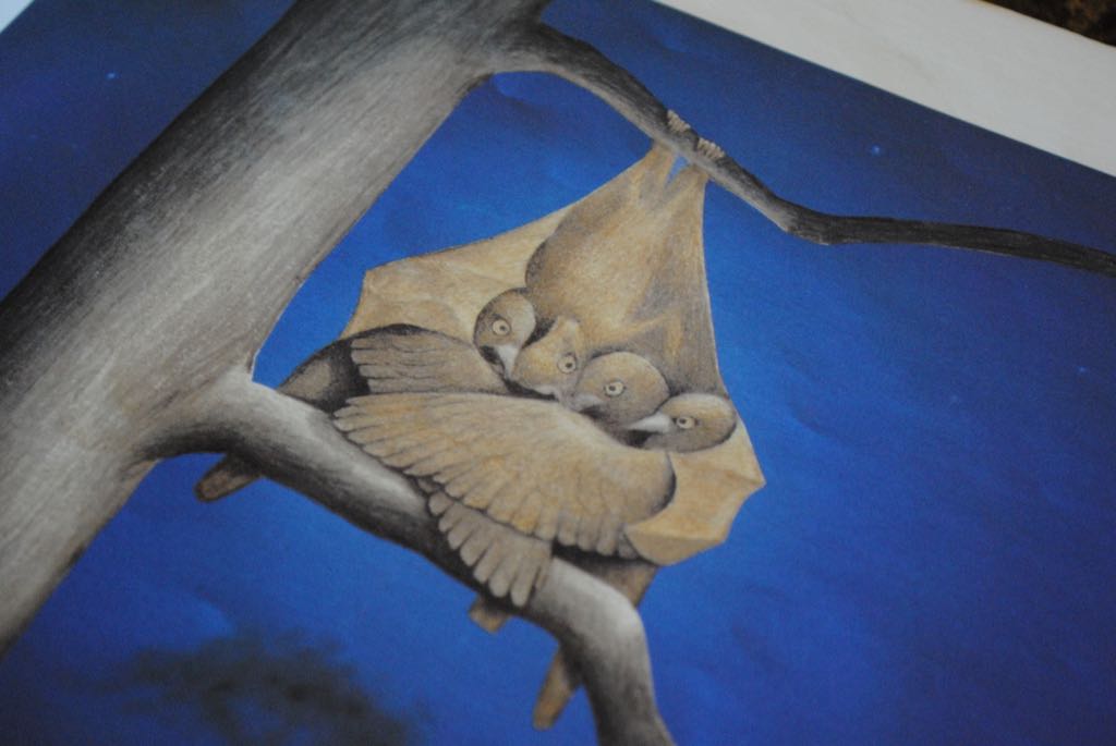 Stellaluna - Janell Cannon book collectible [Barcode 9780544874350] - Main Image 2