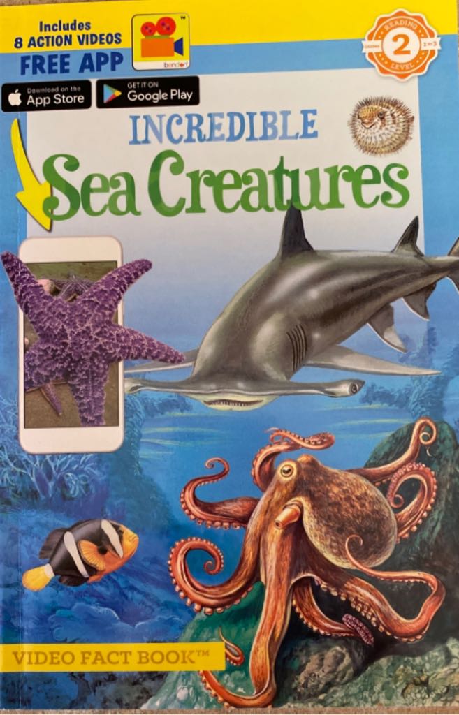 Incredible Sea Creatures - Anne Foundez (- Paperback) book collectible [Barcode 9781690201410] - Main Image 1