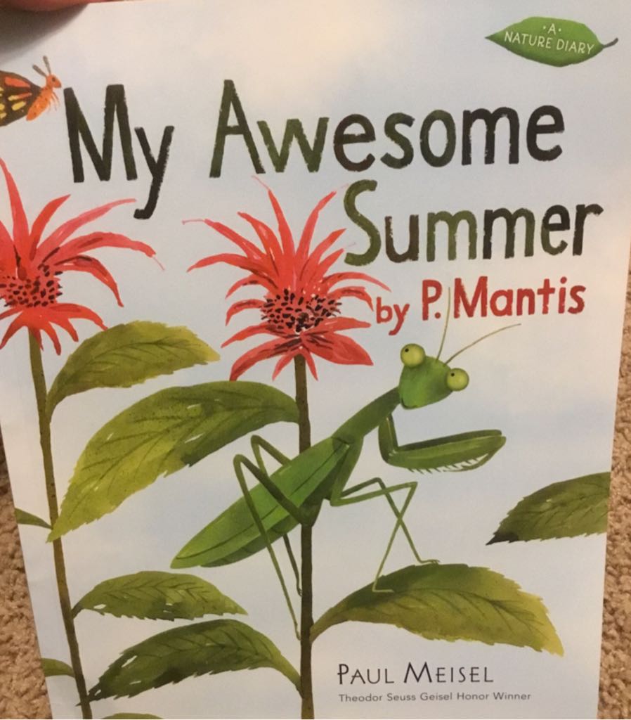 My Awesome Summer by P. Mantis