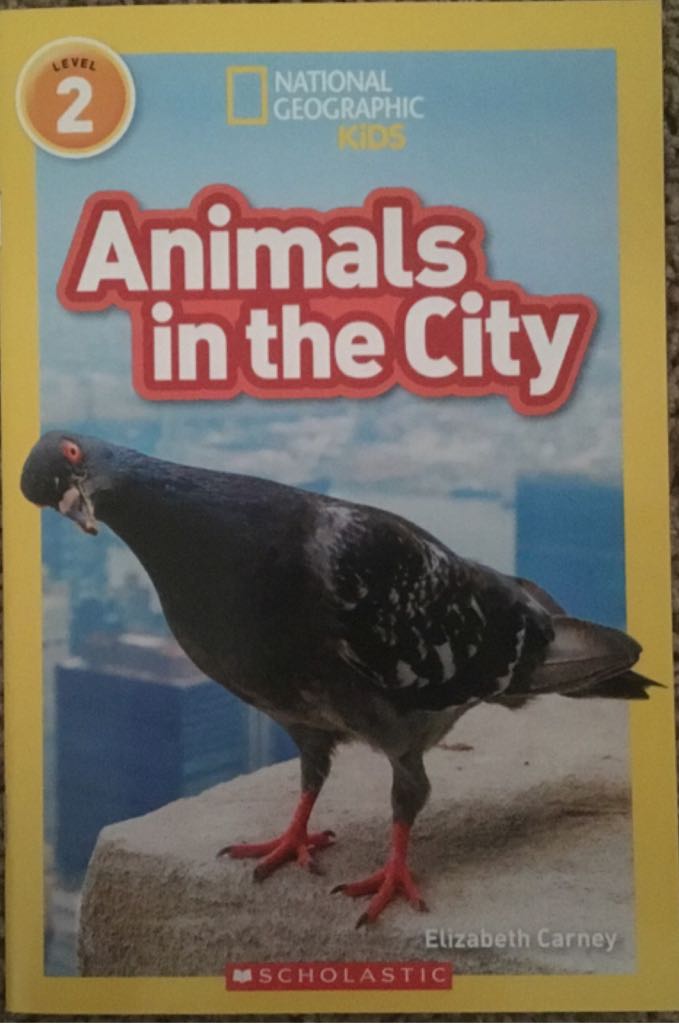 National Geographic Kids: Animals In The City