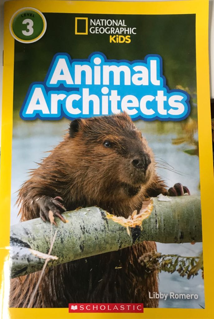 Animal Architects