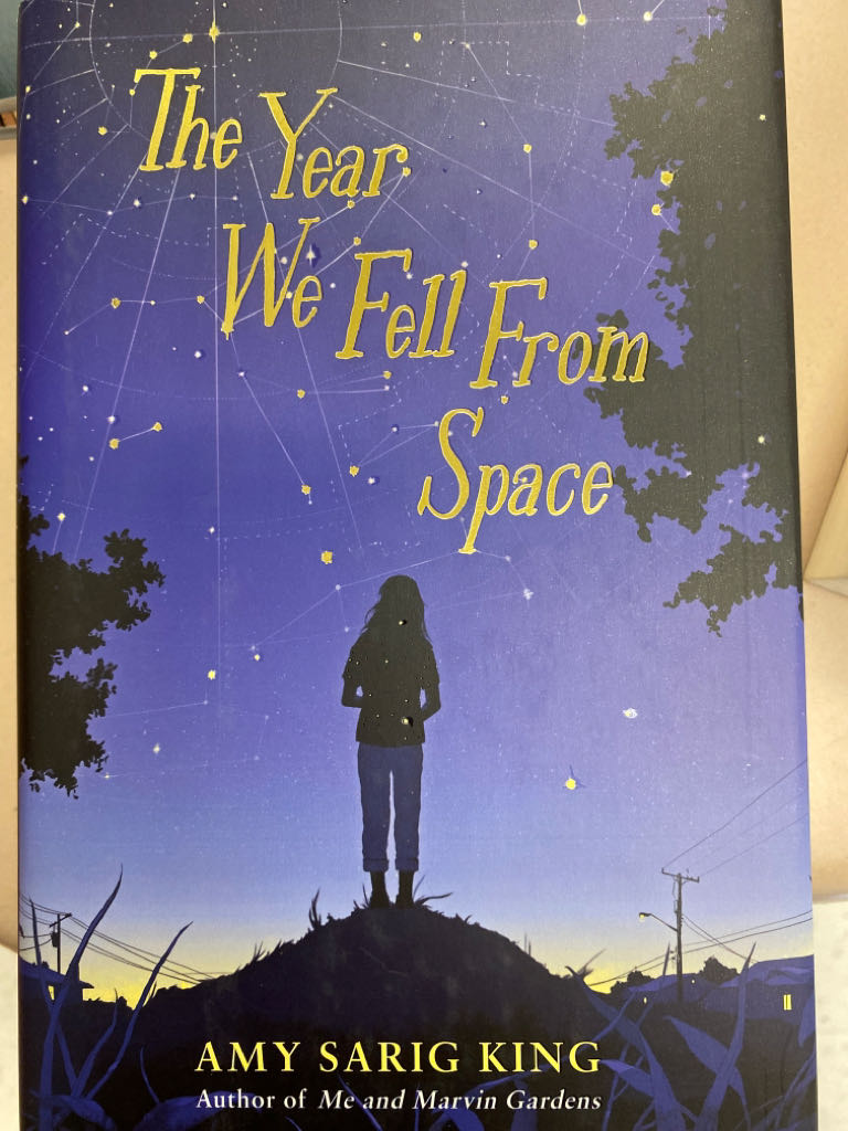 The Year We Fell From Space