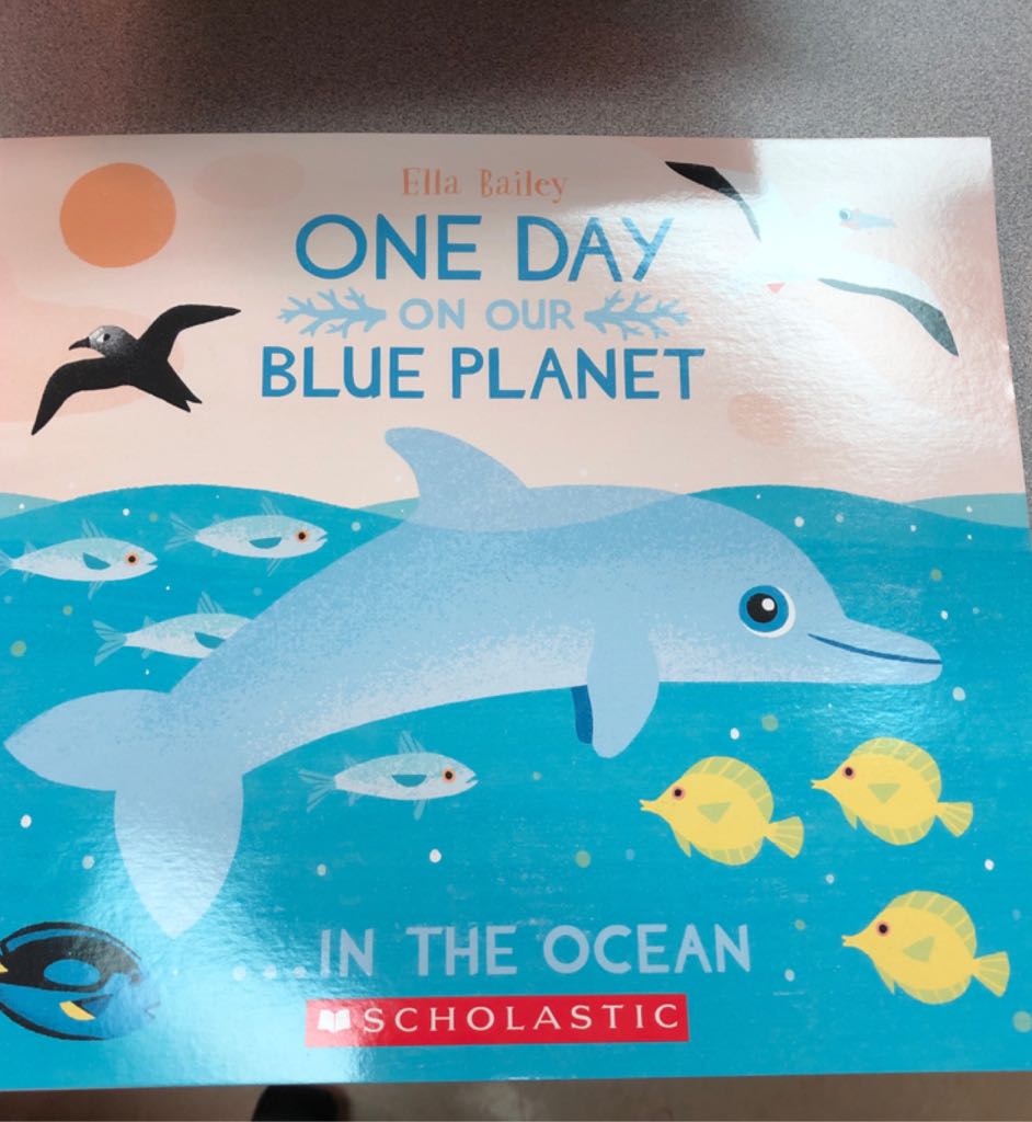 One Day on Our Blue Planet - Ella Bailey book collectible [Barcode 9781338565935] - Main Image 1