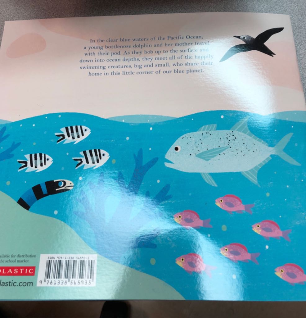 One Day on Our Blue Planet - Ella Bailey book collectible [Barcode 9781338565935] - Main Image 2