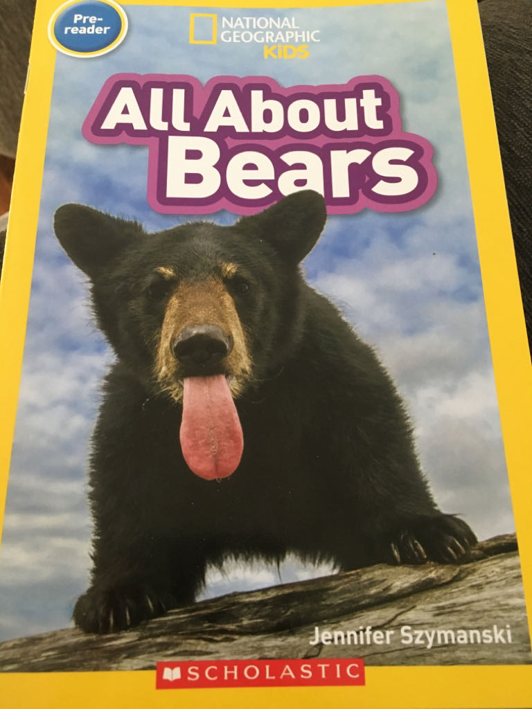 All About Bears - Jennifer Szymanski book collectible [Barcode 9781338652031] - Main Image 1