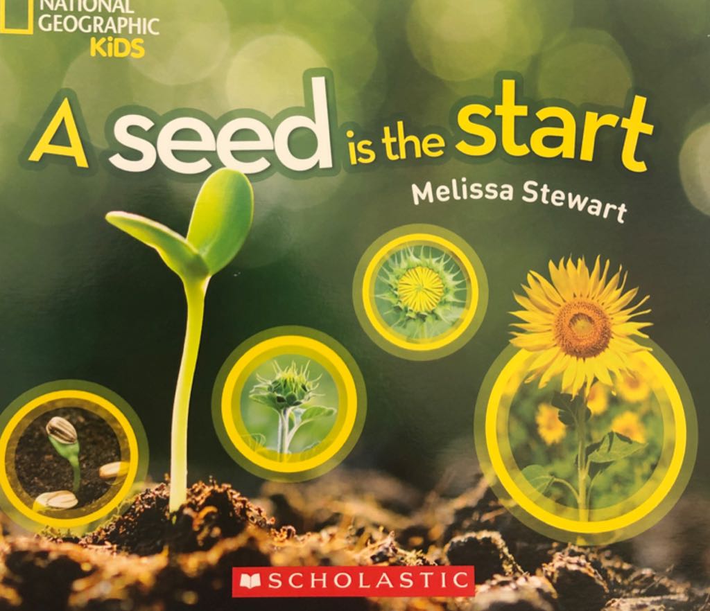 A Seed Is the Start