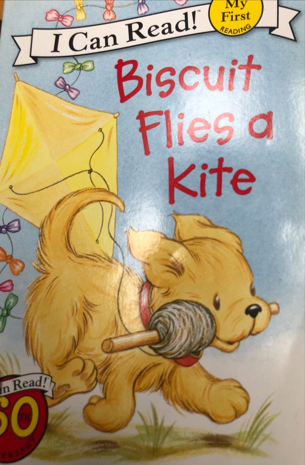 Biscuit Flies A Kite