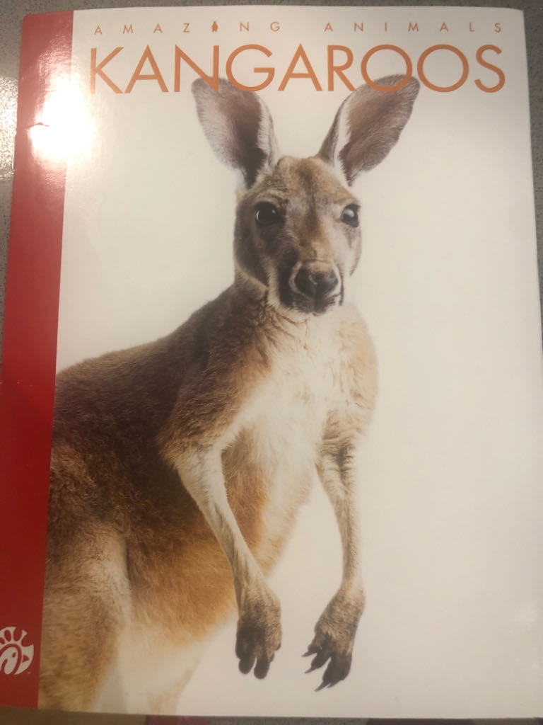 Amazing Animals Kangaroos - Kate Riggs book collectible [Barcode 9789900257844] - Main Image 1