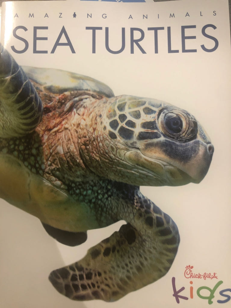 Amazing Animals Sea turtles