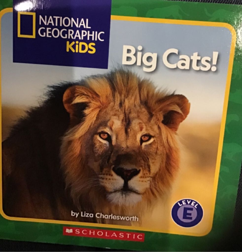 NGK Big Cats!