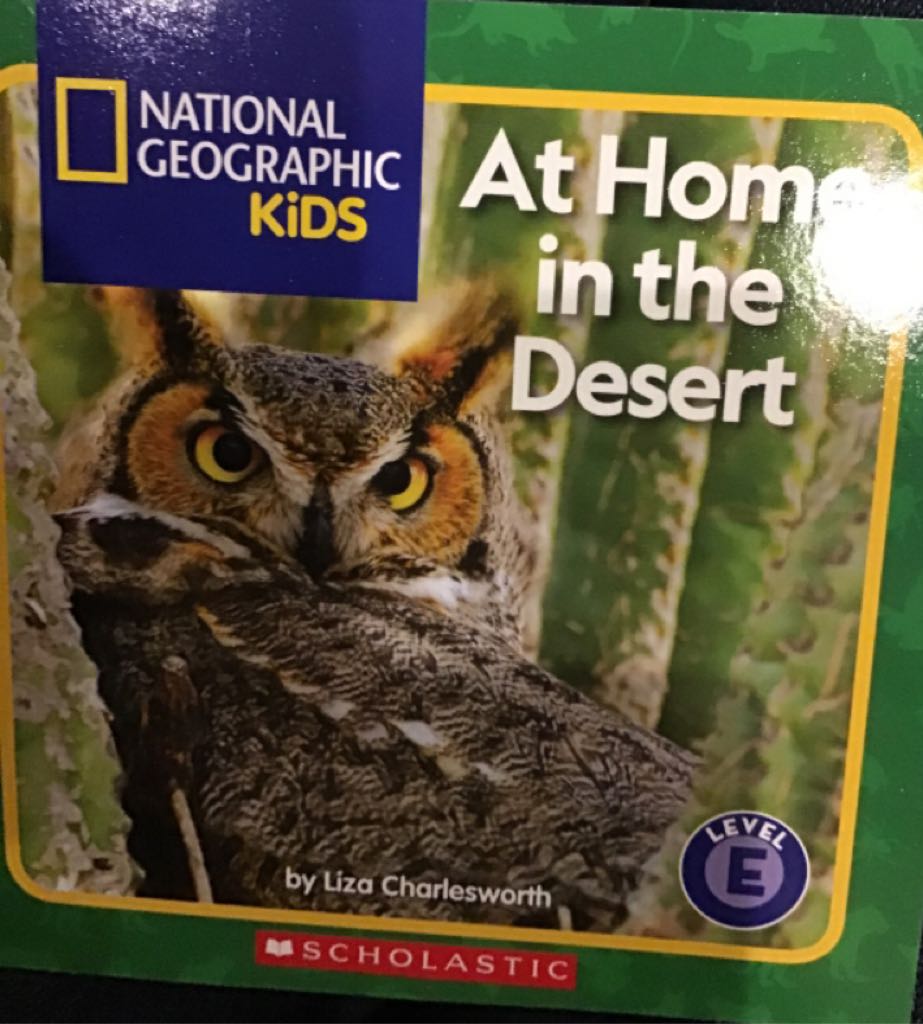 NGK At Home in the Desert