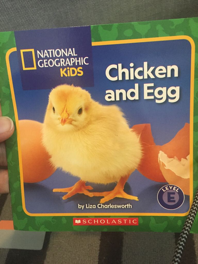 NGK Chicken And Egg