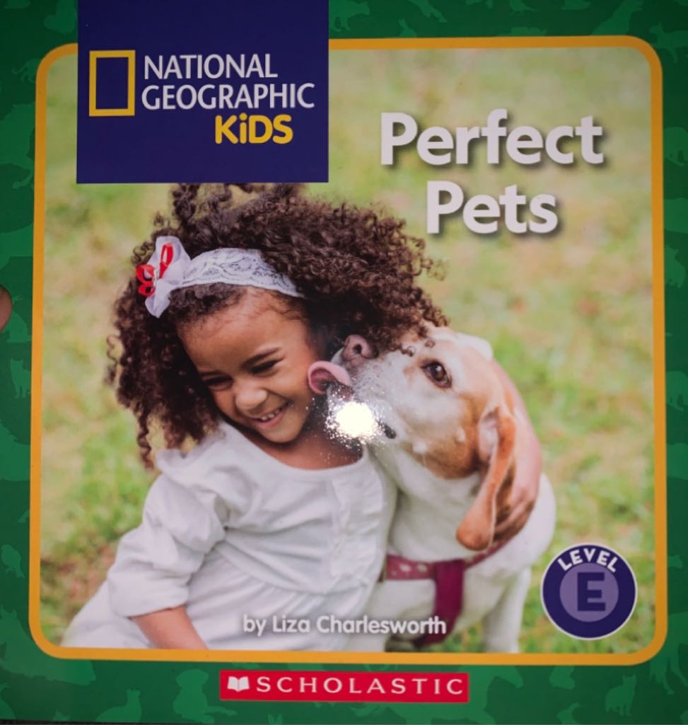 NGK Perfect Pets