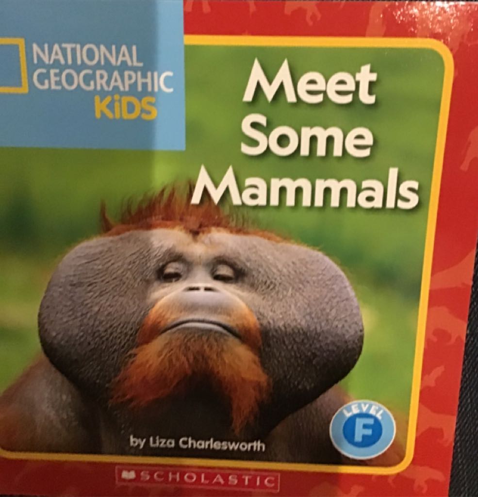 NGK Meet Some Mammals
