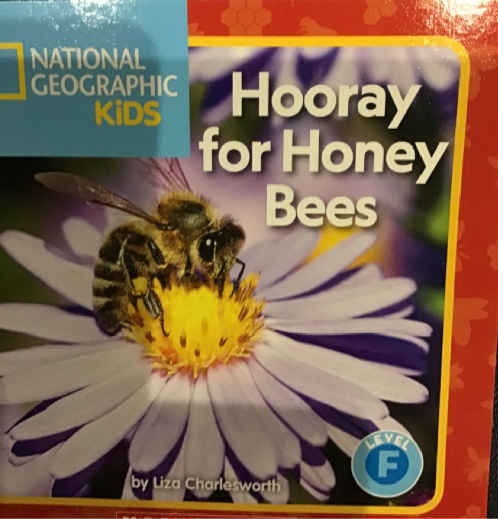 NGK Hooray For Honey Bees