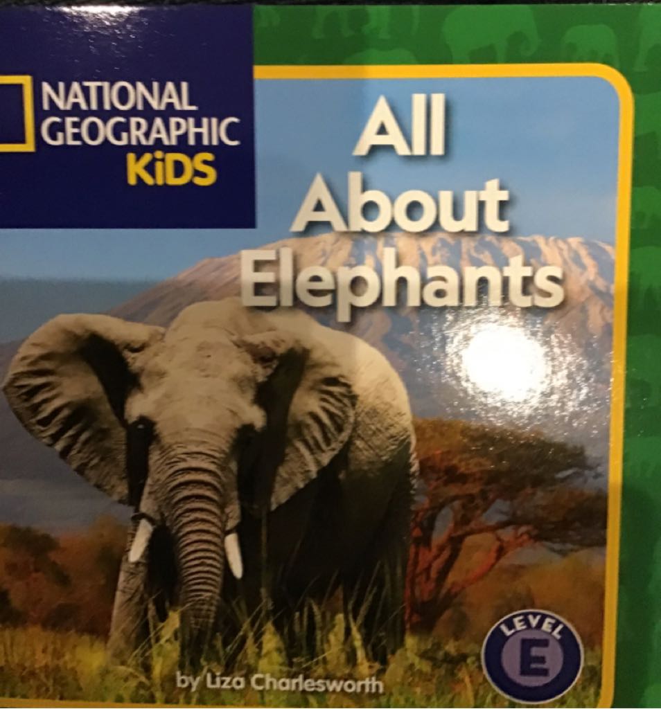 NGK All About Elephants