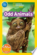National Geographic Readers: Odd Animals (Pre-Reader)