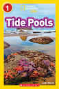Tide Pools NGK