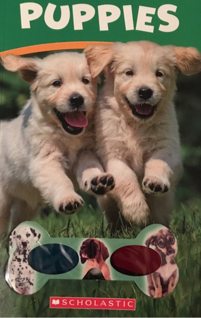 Puppies