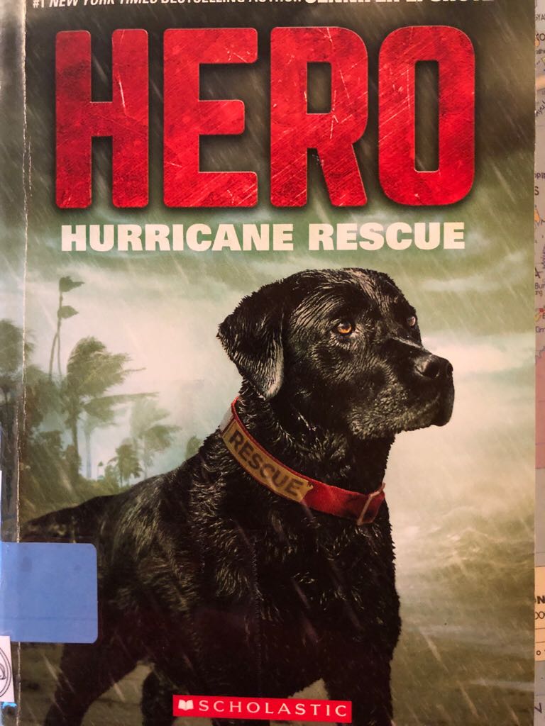 Hero (#2) Hurricane Rescue