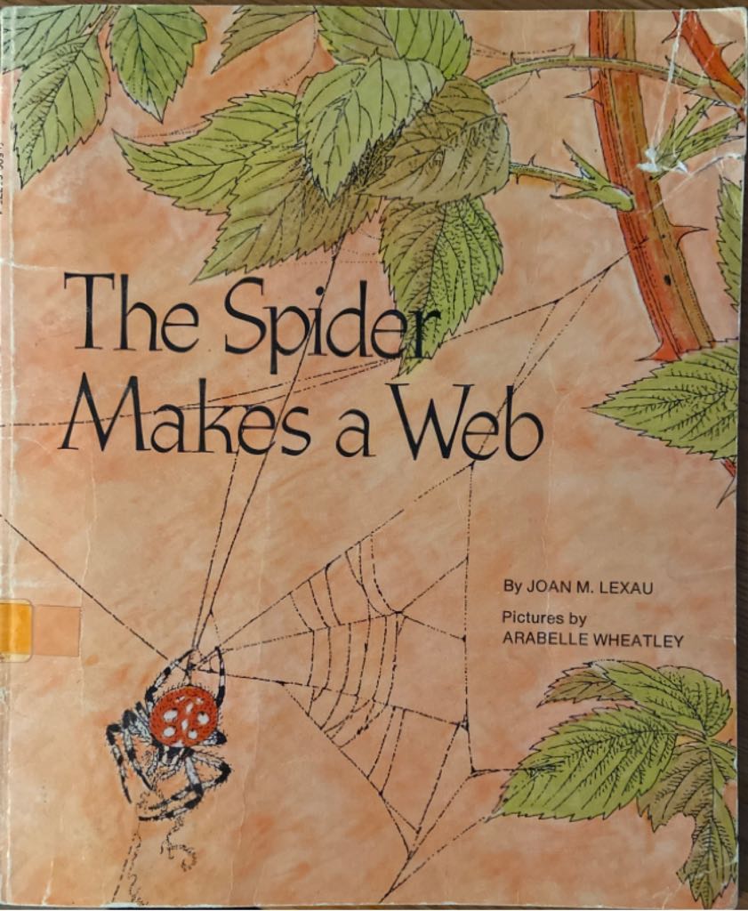 The Spider Makes a Web