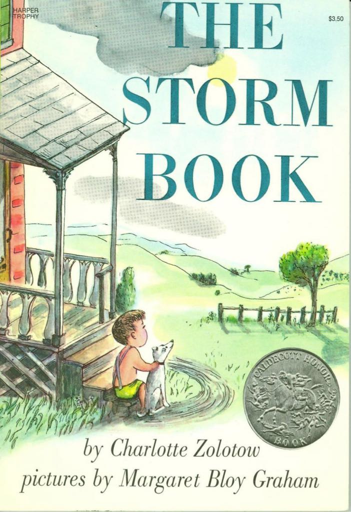 The Storm Book