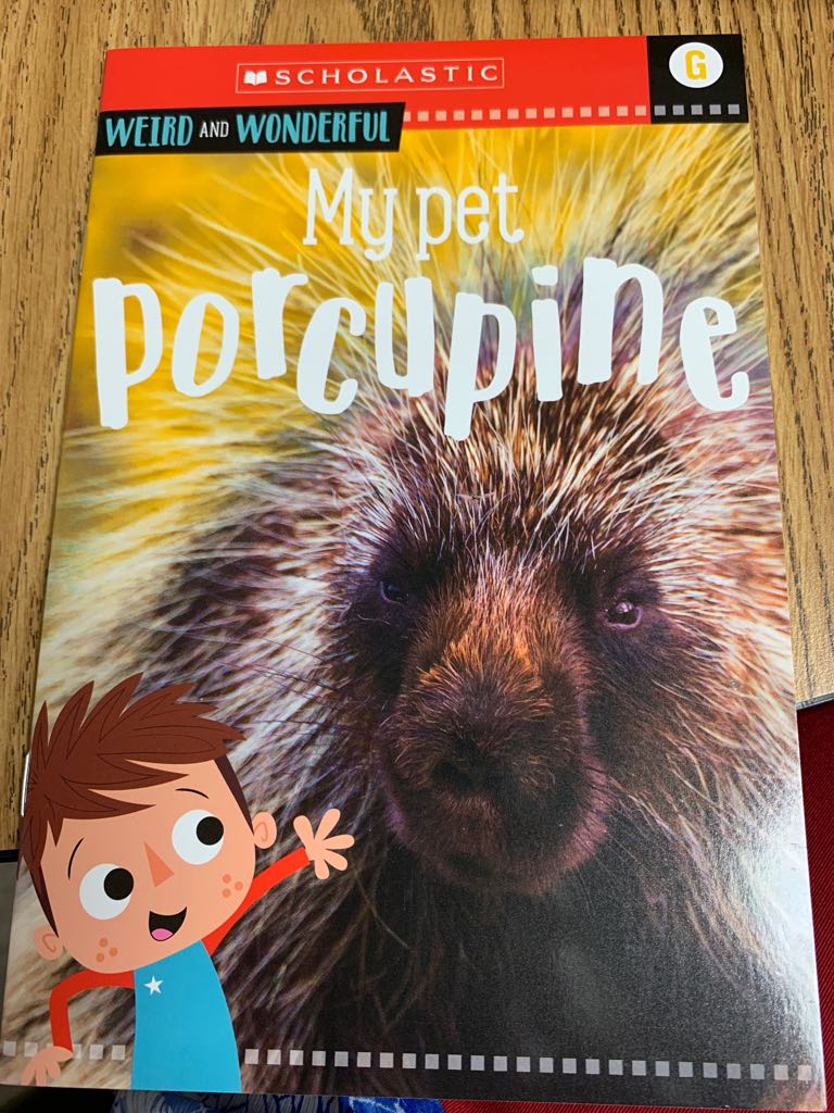 My Pet Porcupine