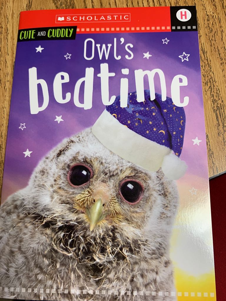 Owl’s Bedtime