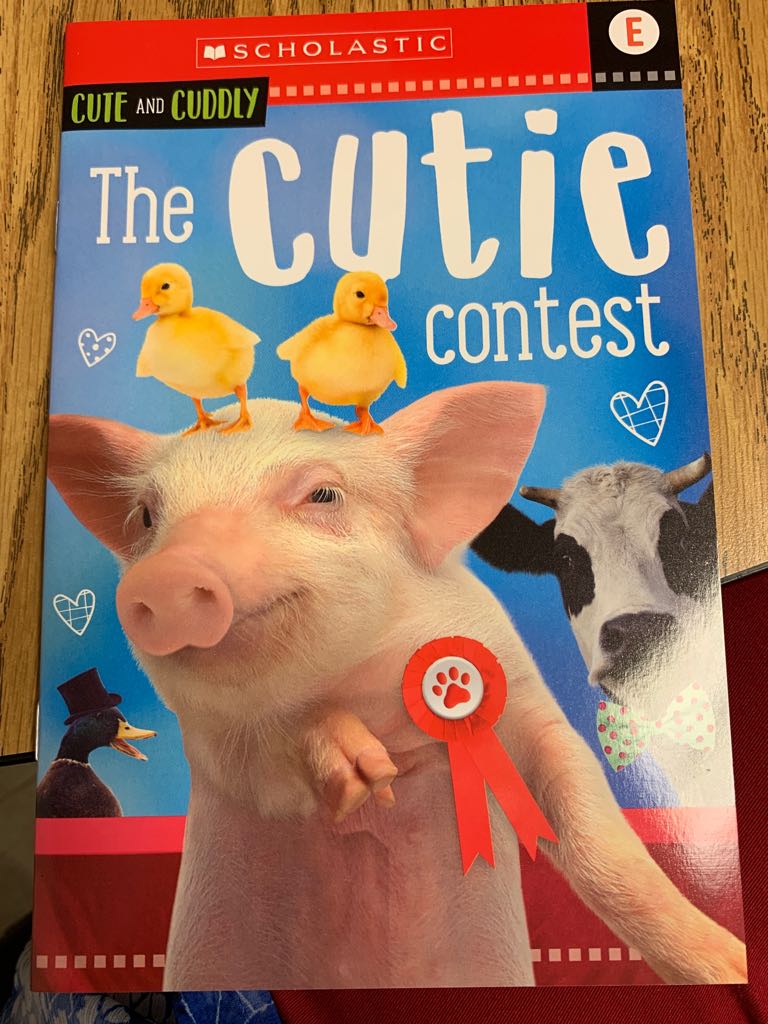 The Cutie Contest
