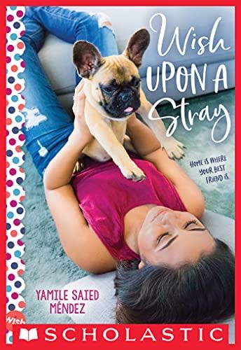 Wish Upon a Stray: a Wish Novel