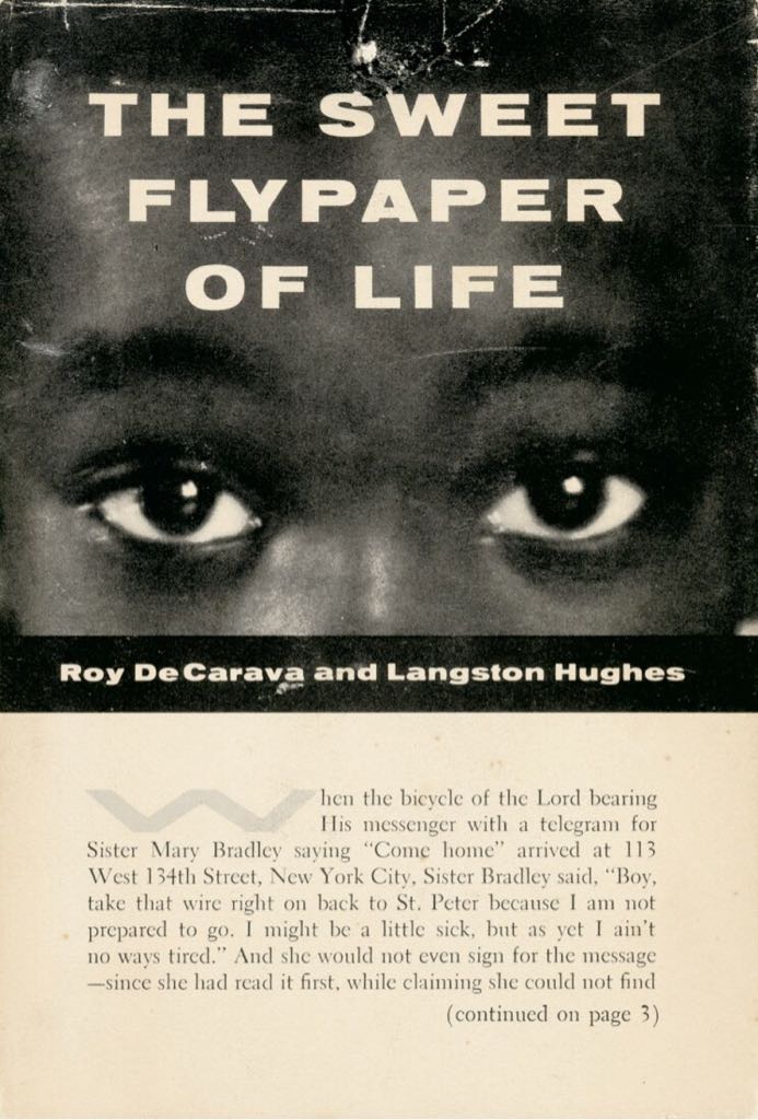 The Sweet Flypaper of Life