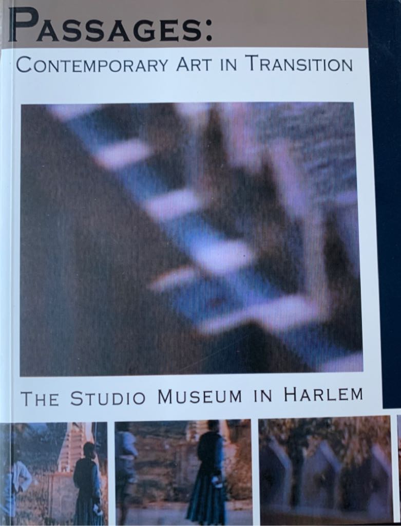 Passages: Contemporary Art in Transition