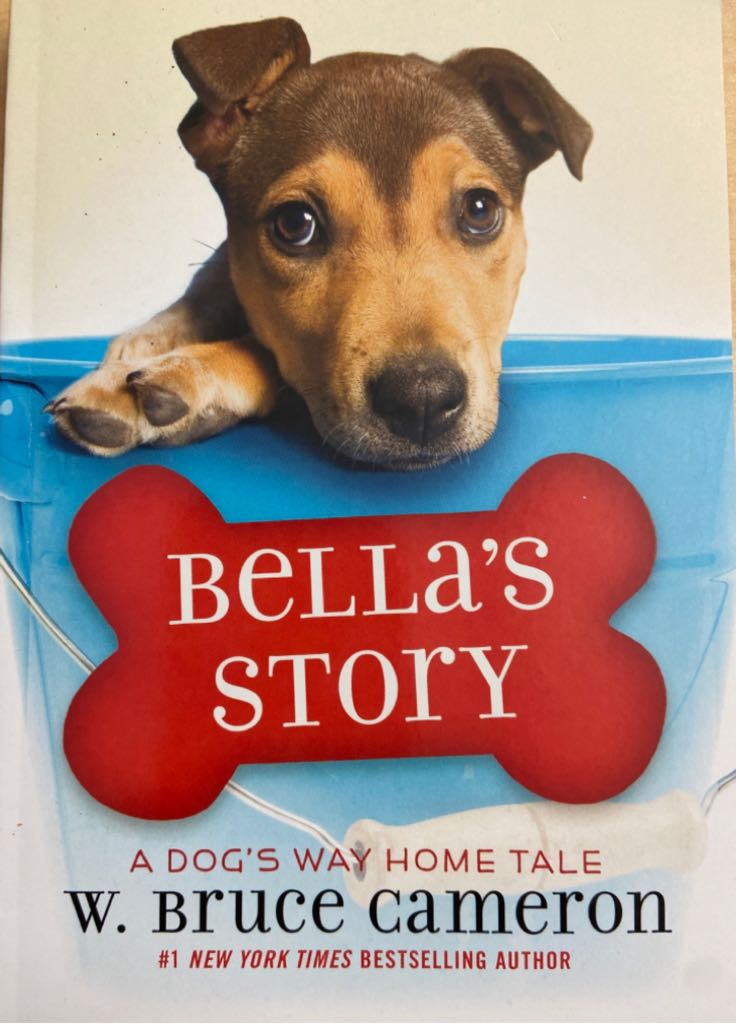 A Dog’s Way Home Tale: Bella’s Story