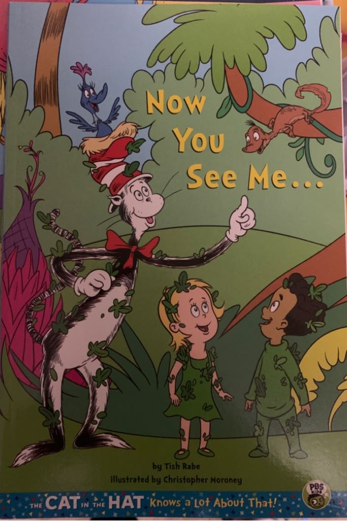 Now You See Me…