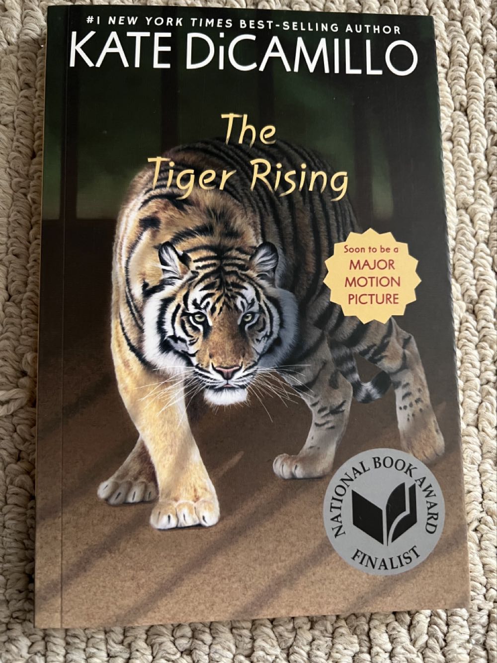 Tiger Rising De Dicamillo Kate 451 Resultados Iberlibro.com