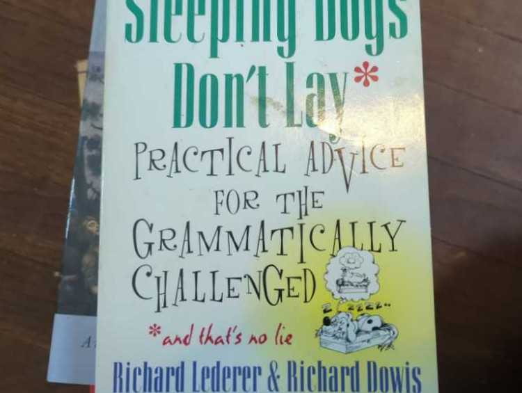Sleeping Dogs Don’t Lay