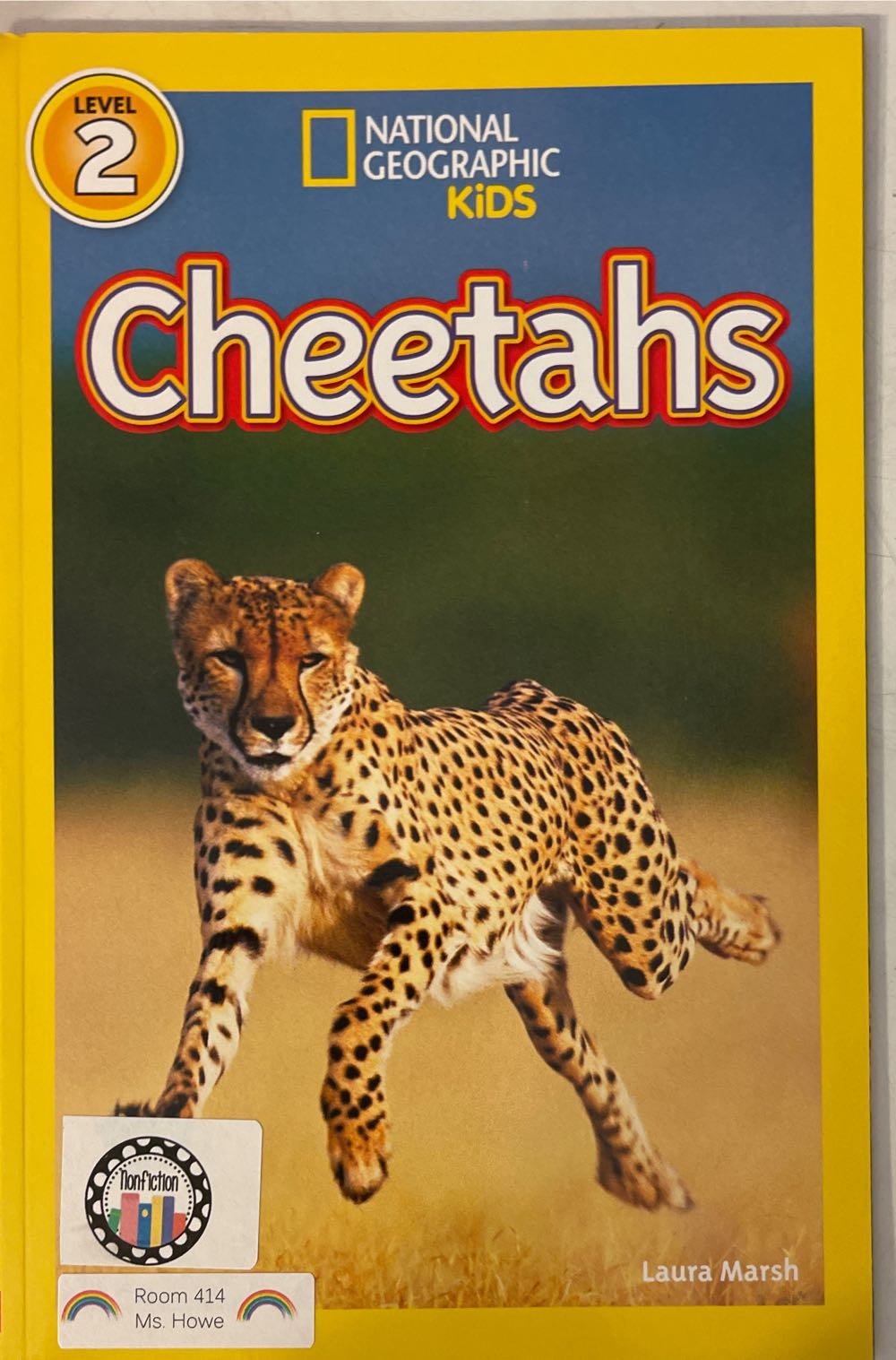 Cheetahs