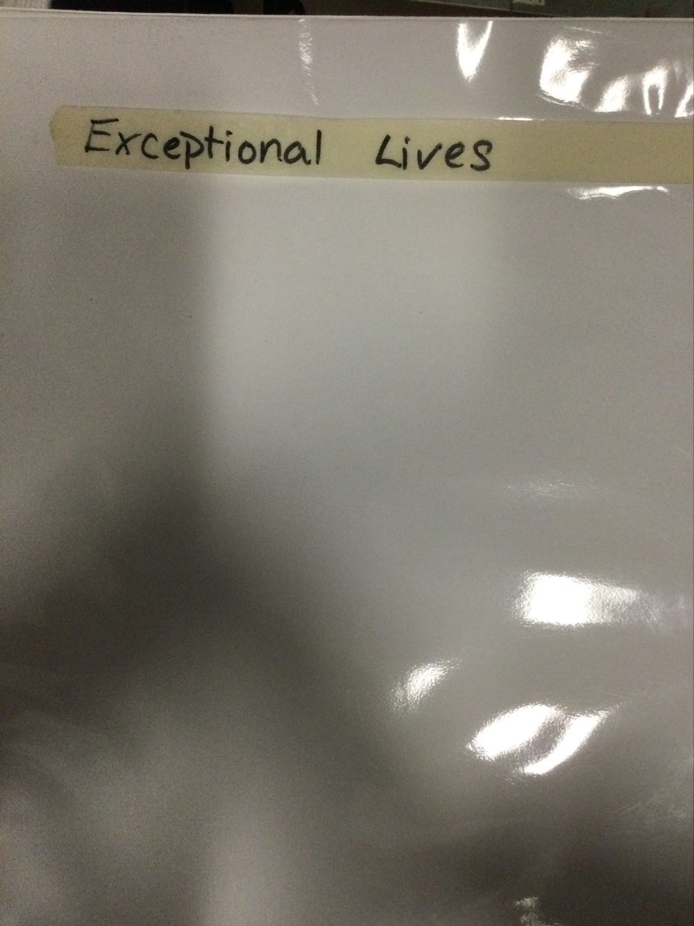 Exceptional Lives