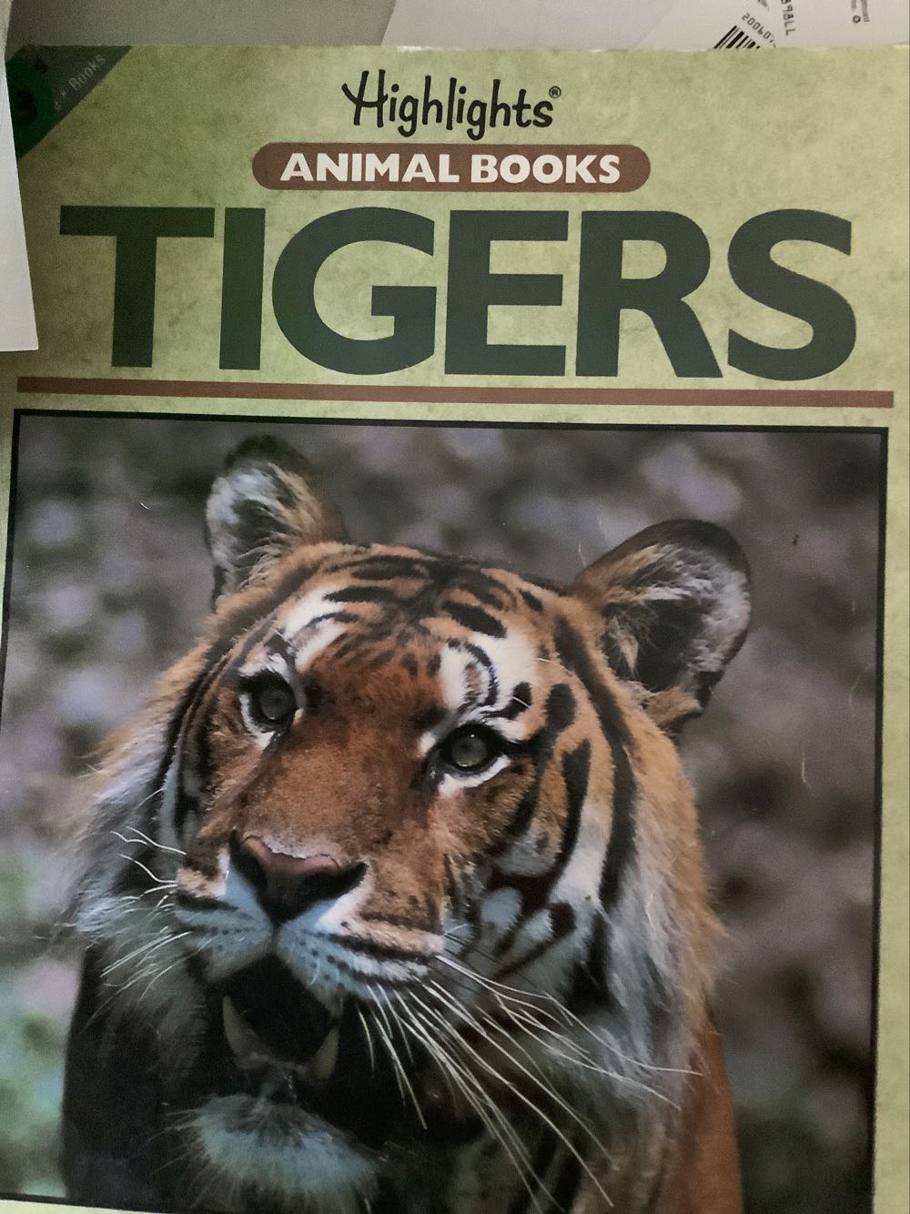 Highlights Animal Books Whales