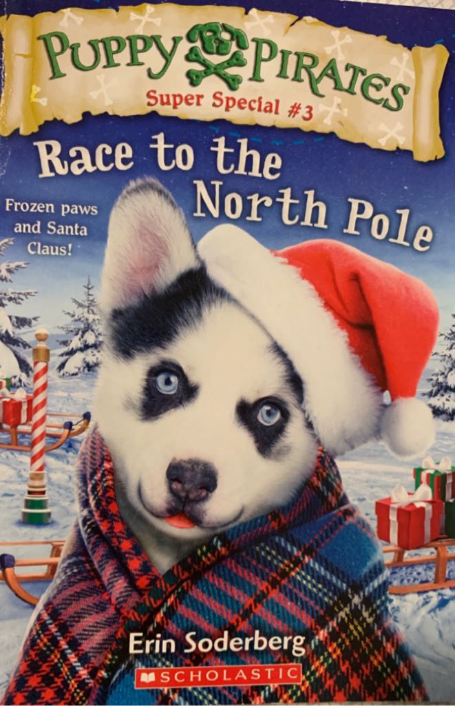 Puppy Pirates Race To The North Pole