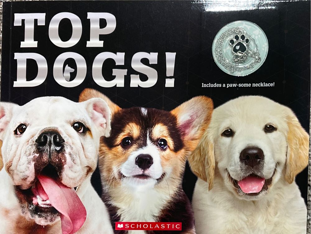 Top Dogs!