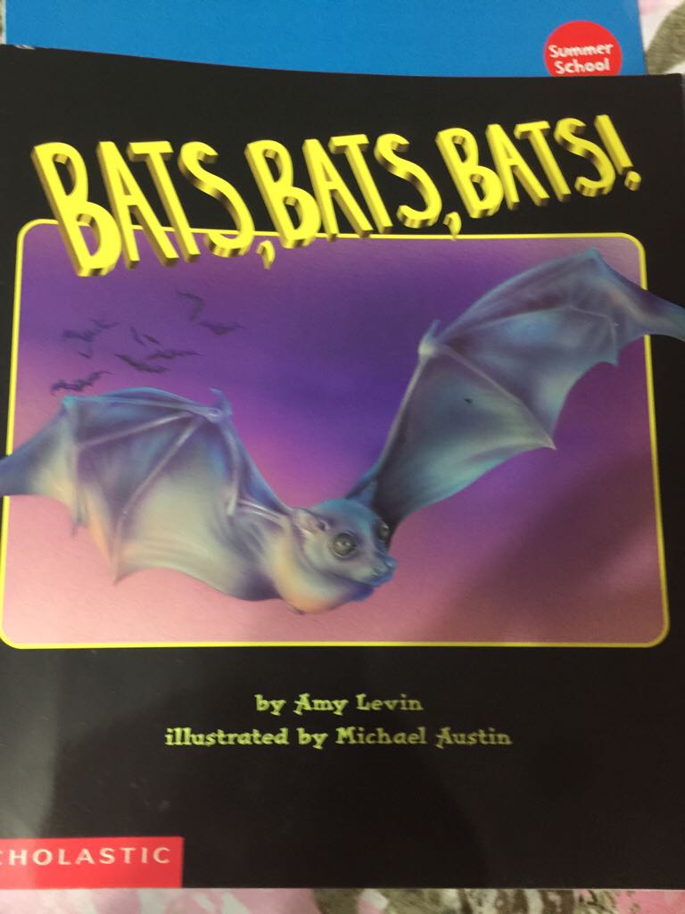 Bats, Bats, Bats