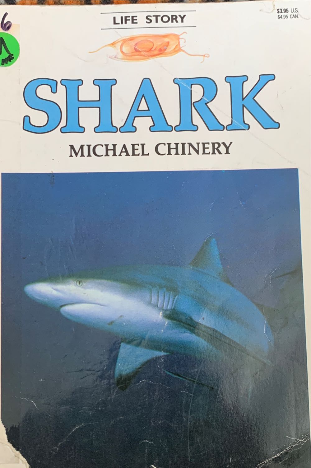 Life Story Shark
