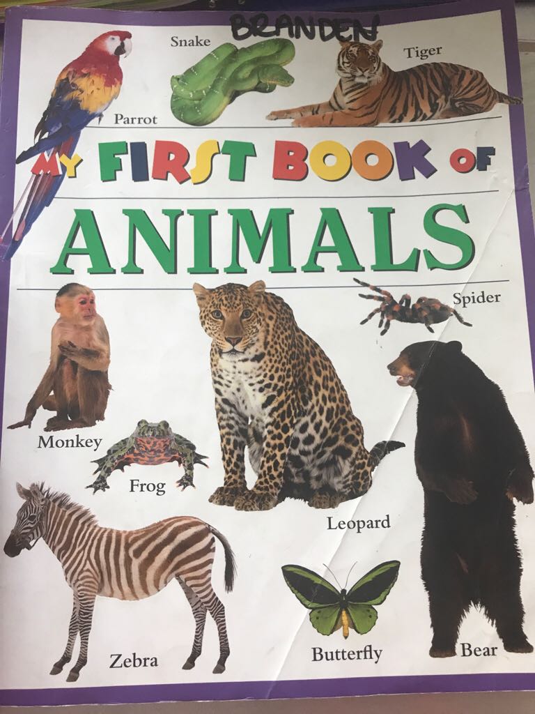 First Book Of Animals