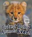 Cutest Baby Animals Ever!