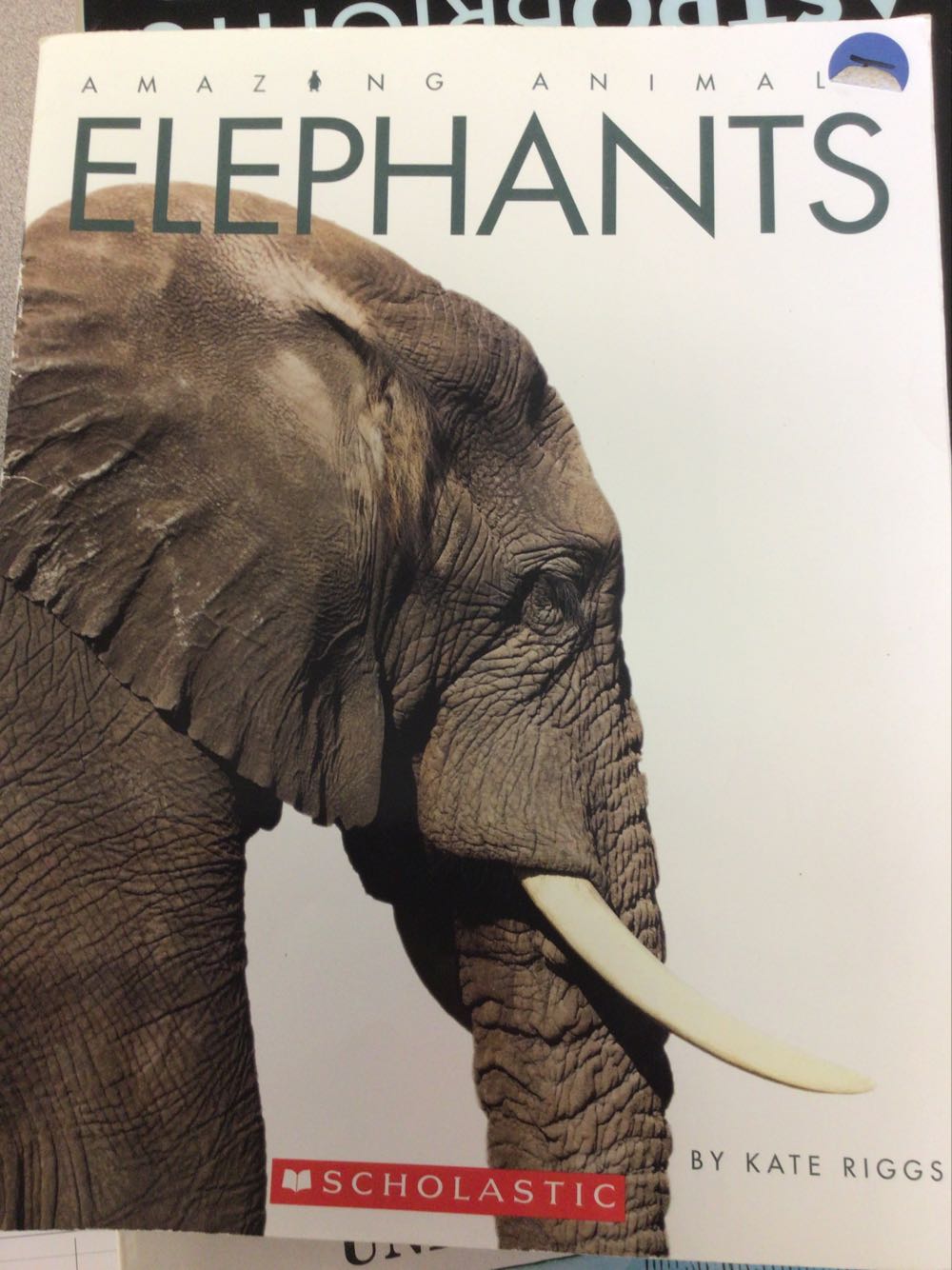 Elephants - Riggs, Kate book collectible [Barcode 9780545484169] - Main Image 1