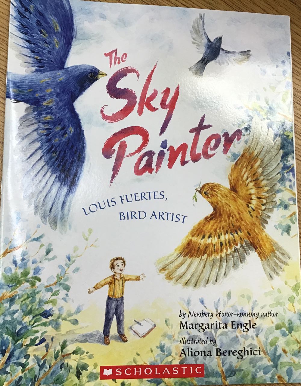 The Sky Painter