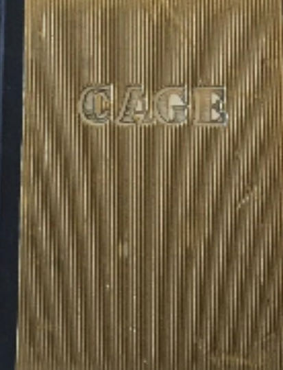 Betye Saar: Cage
